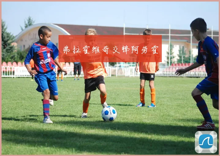 弗拉霍维奇交锋阿劳霍