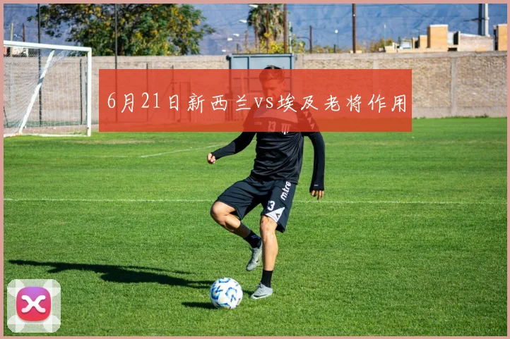 6月21日新西兰vs埃及老将作用