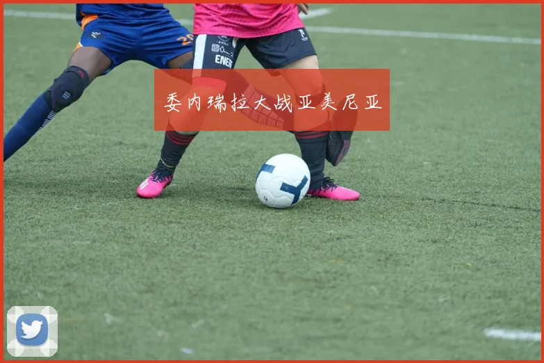 委内瑞拉大战亚美尼亚