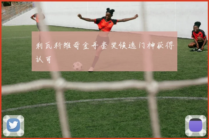 利瓦科维奇金手套奖候选门神获得认可